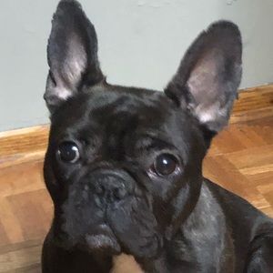 Meet your Posher, Lou ann